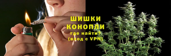 прущие грибы Абаза
