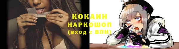 прущие грибы Абаза