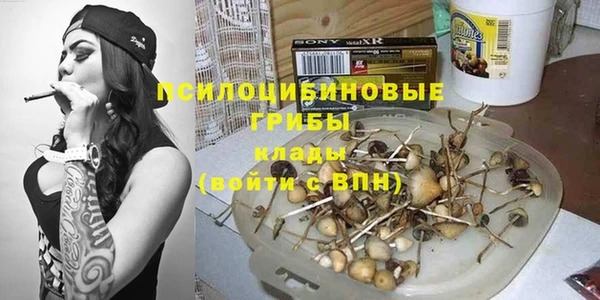 прущие грибы Абаза