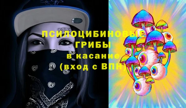 СК Киреевск