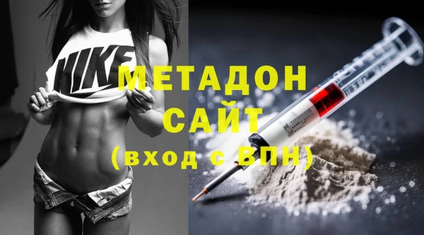прущие грибы Абаза