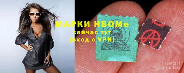 прущие грибы Абаза